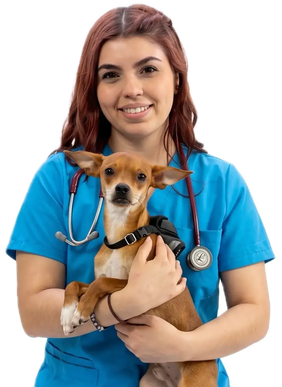 Médica veterinaria de Domesticados con un perro en brazos
